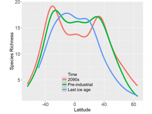 Image 3: Biodiversity patterns with latitudes in three different time periods. Note the equatorial "dip" in the pre-industrial time (green) and 2090s (red), but not in the last ice age (blue).